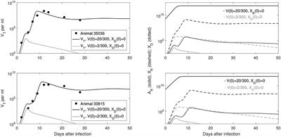 A Bistable Switch in Virus Dynamics Can Explain the Differences in Disease Outcome Following SIV Infections in Rhesus Macaques